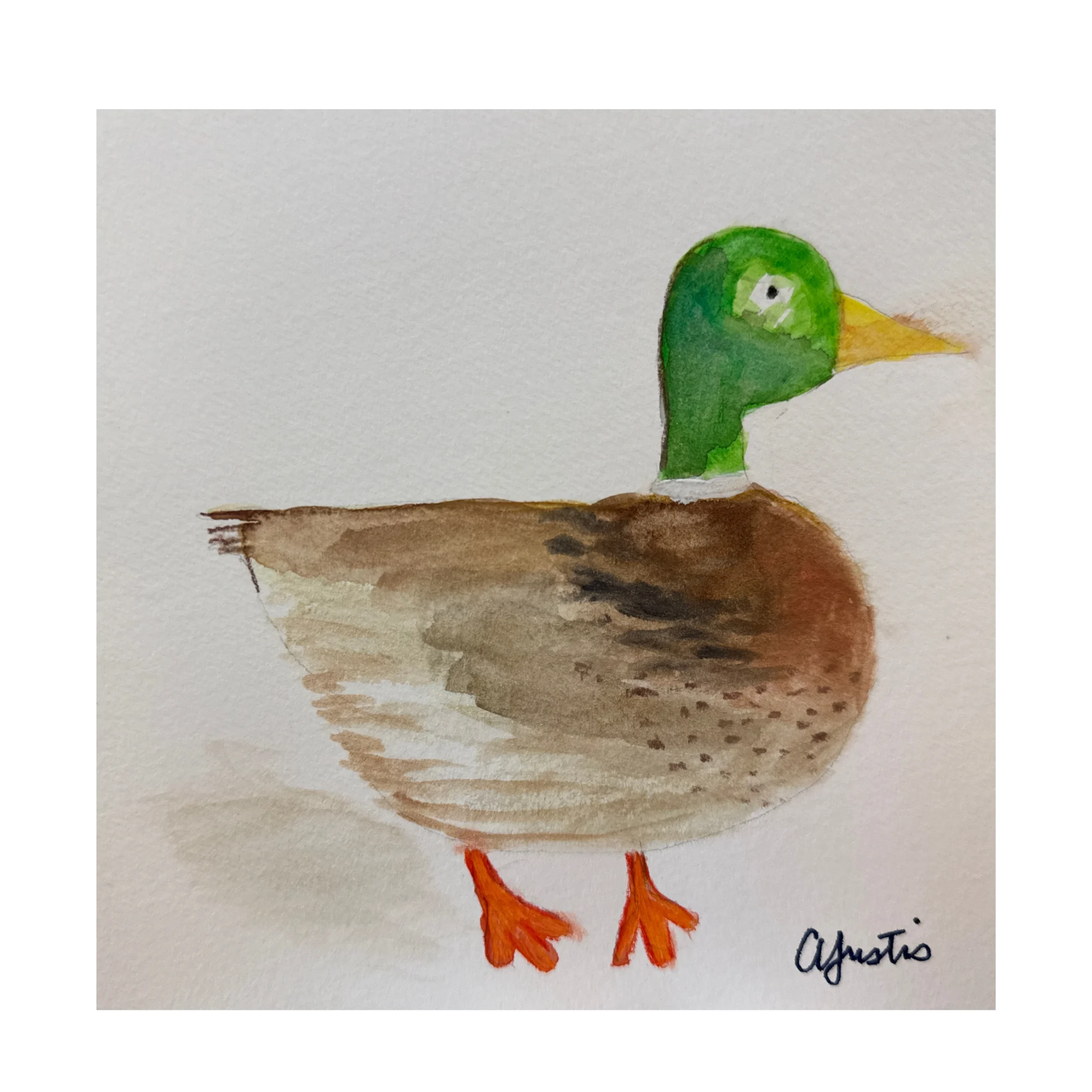 Duck by Amy Justis