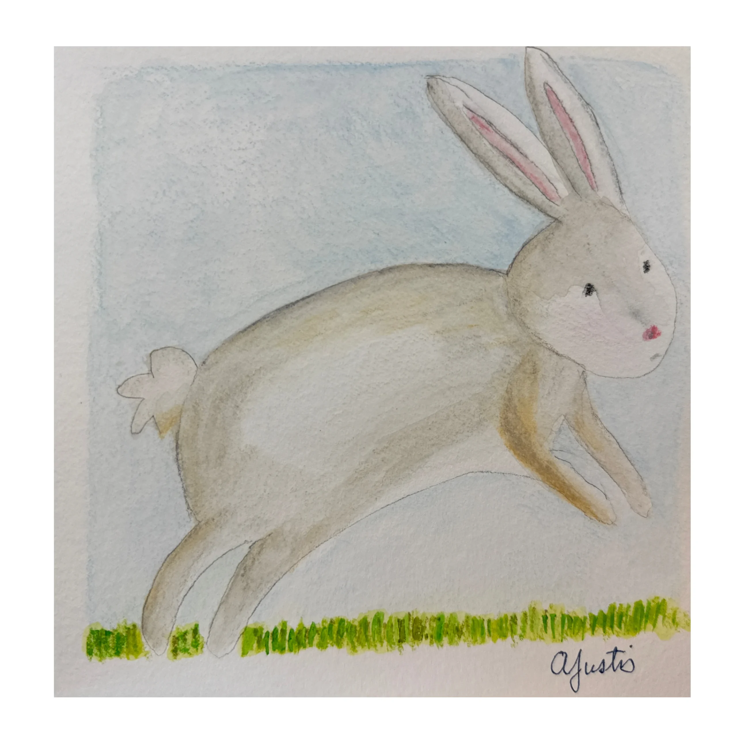 Rabbit by Amy Justis