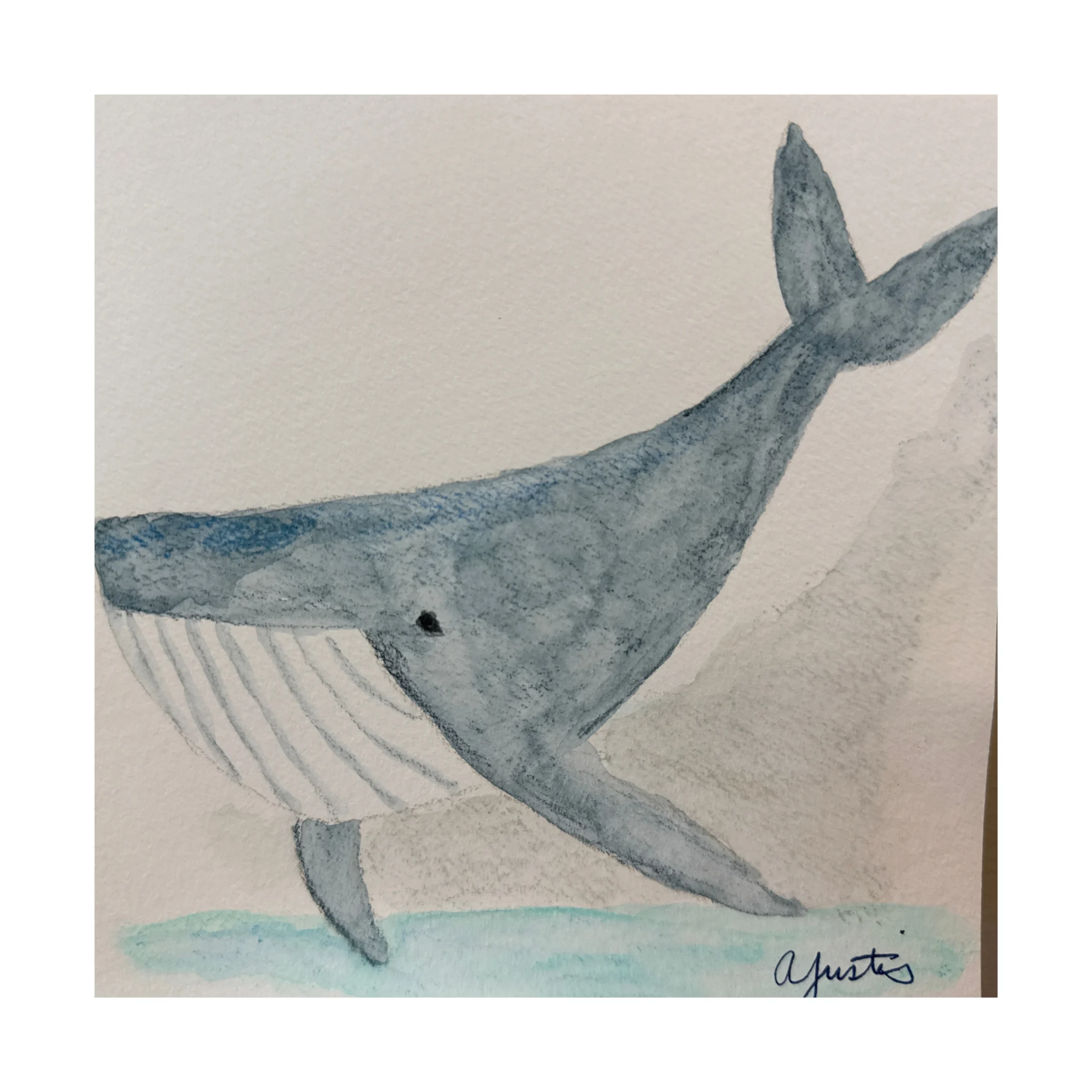 Whale by Amy Justis