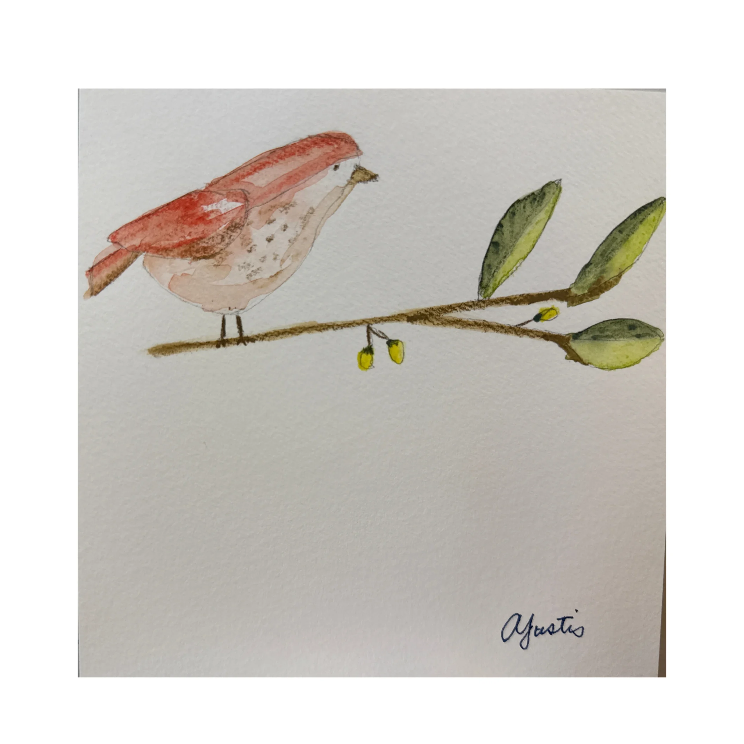 Bird on a Branch by Amy Justis