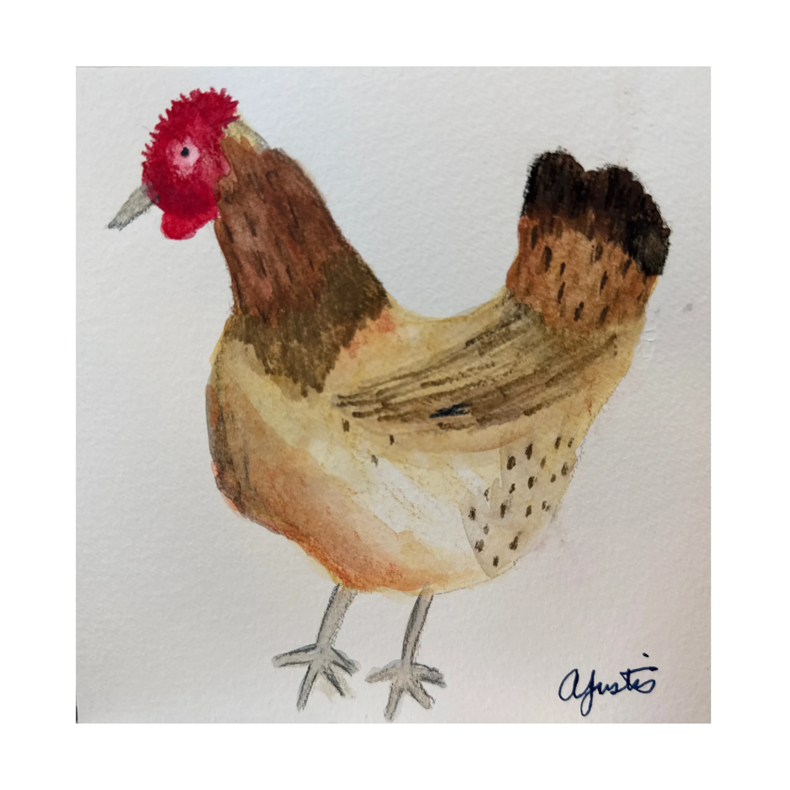 Chicken by Amy Justis