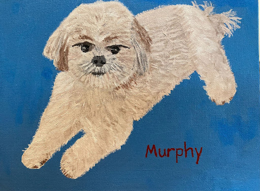 Murphy by Amy Justis